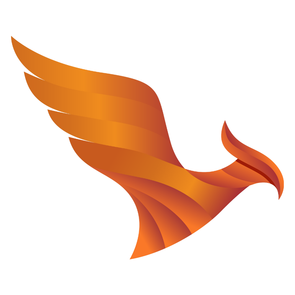 Cyzor Academy Portfolio